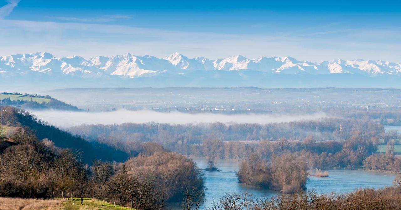 Le Lamartine - T3 Dans Un Parc Frouzins Экстерьер фото